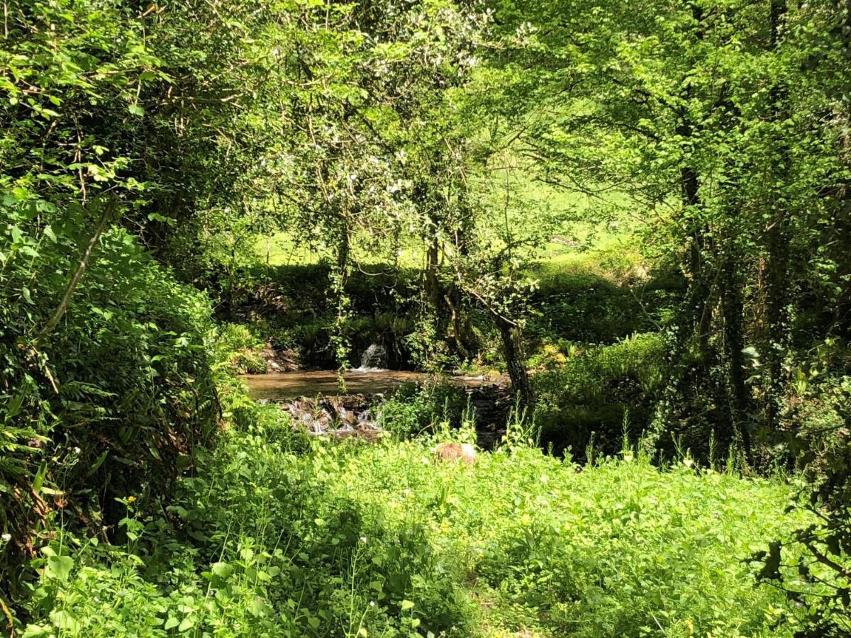 Gite Terra Bosca Cambounes Dış mekan fotoğraf