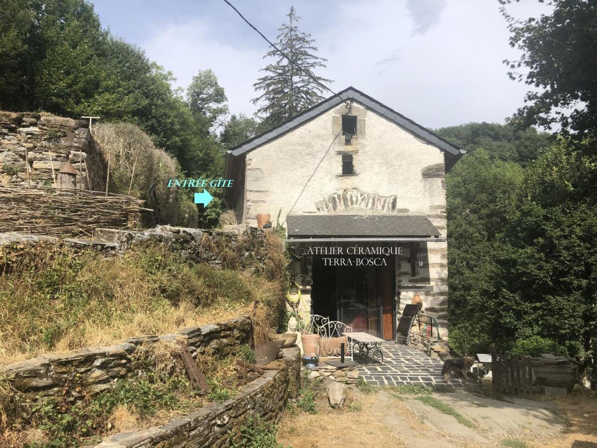 Gite Terra Bosca Cambounes Dış mekan fotoğraf