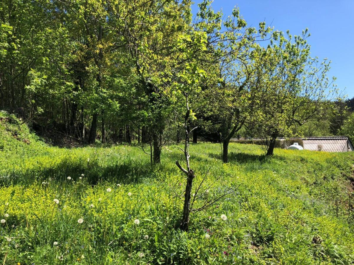 Gite Terra Bosca Cambounes Dış mekan fotoğraf