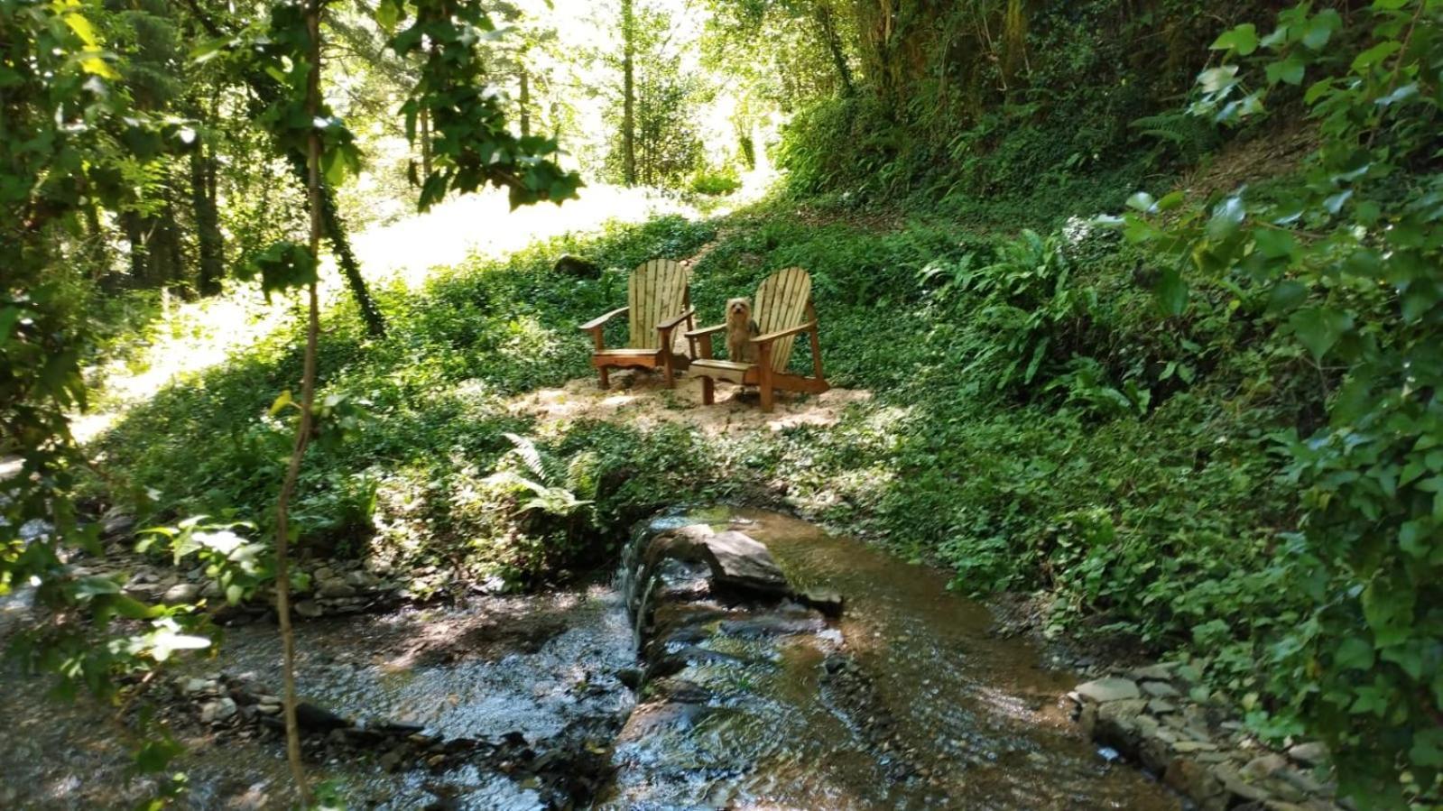 Gite Terra Bosca Cambounes Dış mekan fotoğraf